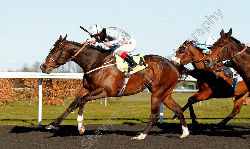 Desert-Safari-0004 
 DESERT SAFARI (Franny Norton) wins The Unibet Casino Deposit £10 Get £40 Bonus Handicap
Kempton 5 Apr 2021 - Pic Steven Cargill / Racingfotos.com