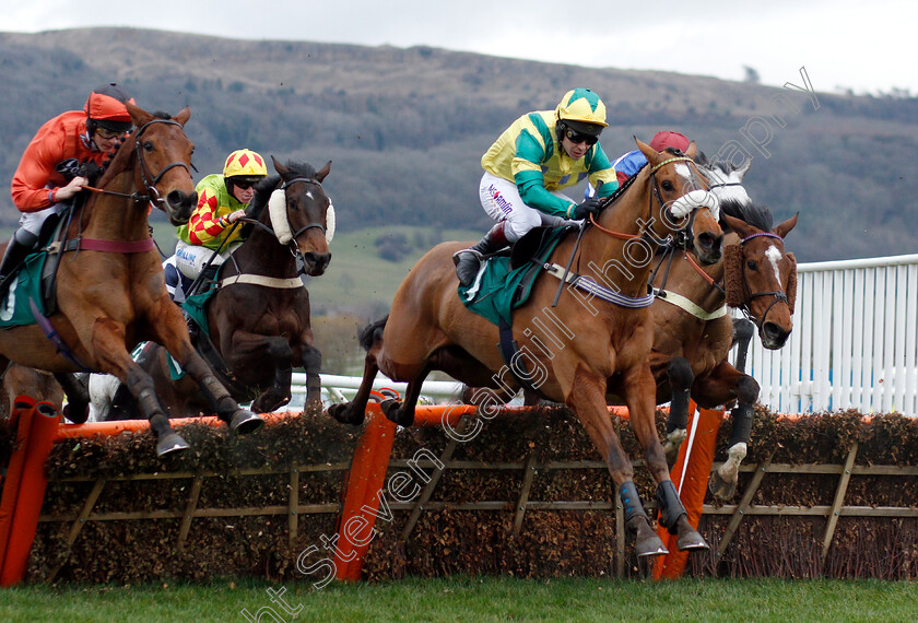 Jersey-Bean-0001 
 JERSEY BEAN (Richard Johnson)
Cheltenham 1 Jan 2019 - Pic Steven Cargill / Racingfotos.com