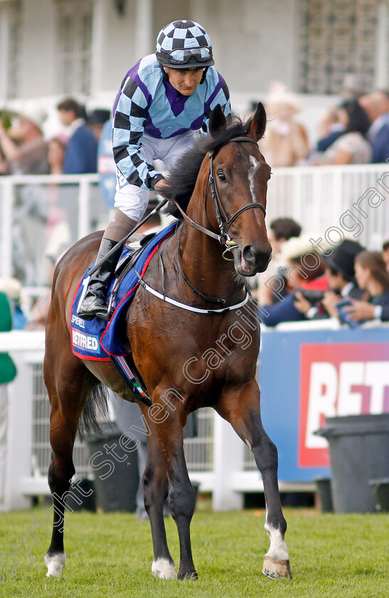 Sprewell-0001 
 SPREWELL (Shane Foley)
Epsom 3 Jun 2023 - Pic Steven Cargill / Racingfotos.com