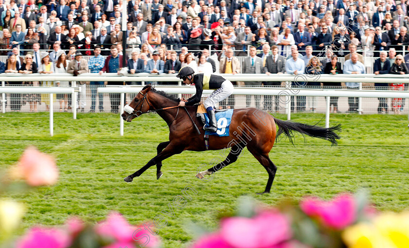 Urban-Aspect-0005 
 URBAN ASPECT (Oisin Murphy) wins The Nationwide Accident Repair Services Handicap
York 24 Aug 2018 - Pic Steven Cargill / Racingfotos.com