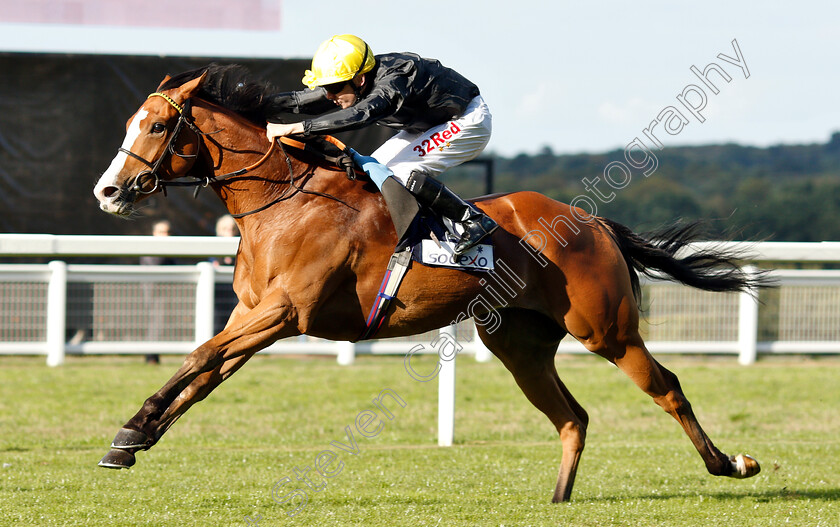 Akbar-Shah-0002 
 AKBAR SHAH (Jamie Spencer) wins The Sodexo Handicap
Ascot 7 Sep 2018 - Pic Steven Cargill / Racingfotos.com