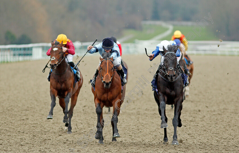 Sir-Edward-Elgar-0003 
 SIR EDWARD ELGAR (right, Robert Havlin) beats HOST (centre) in The Bombardier British Hopped Amber Beer Maiden Stakes
Lingfield 27 Jan 2021 - Pic Steven Cargill / Racingfotos.com