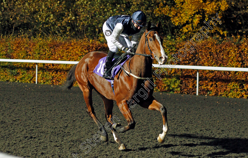 Rohaan-0001 
 ROHAAN (Tom Queally)
Kempton 11 Nov 2020 - Pic Steven Cargill / Racingfotos.com