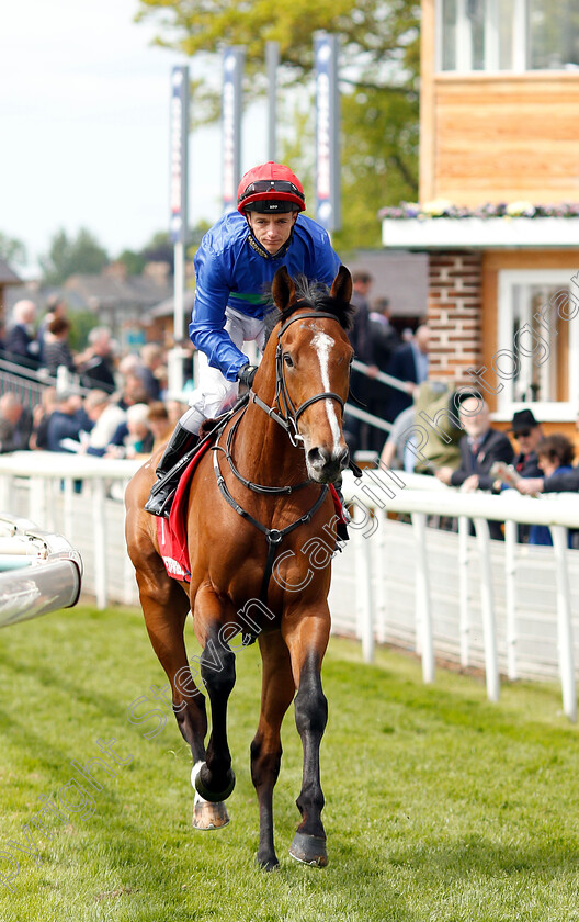 Wells-Farhh-Go-0001 
 WELLS FARHH GO (David Allan)
York 17 May 2018 - Pic Steven Cargill / Racingfotos.com