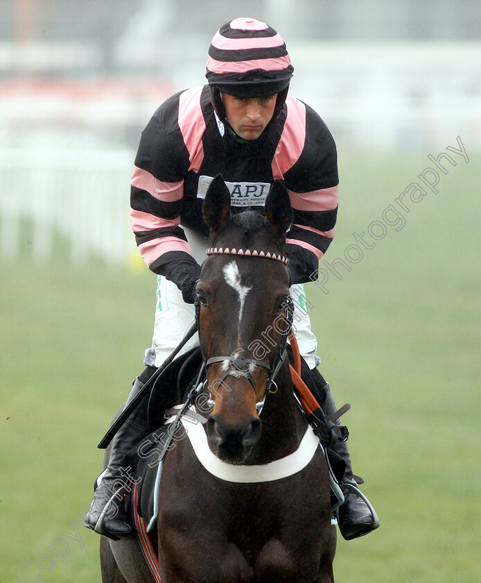 Lust-For-Glory-0001 
 LUST FOR GLORY (Nico De Boinville)
Newbury 1 Dec 2018 - Pic Steven Cargill / Racingfotos.com