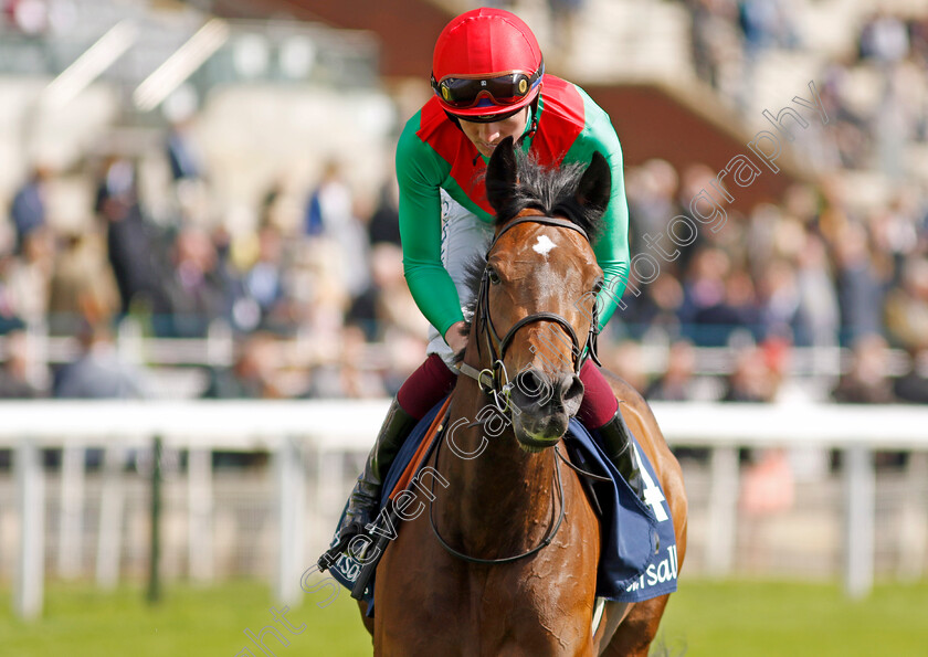 Luna-Dorada-0002 
 LUNA DORADA (Rob Hornby)
York 11 May 2022 - Pic Steven Cargill / Racingfotos.com