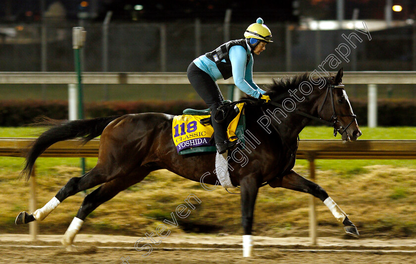 Yoshida-0001 
 YOSHIDA exercising ahead of The Breeders' Cup Classic
Churchill Downs USA 29 Oct 2018 - Pic Steven Cargill / Racingfotos.com