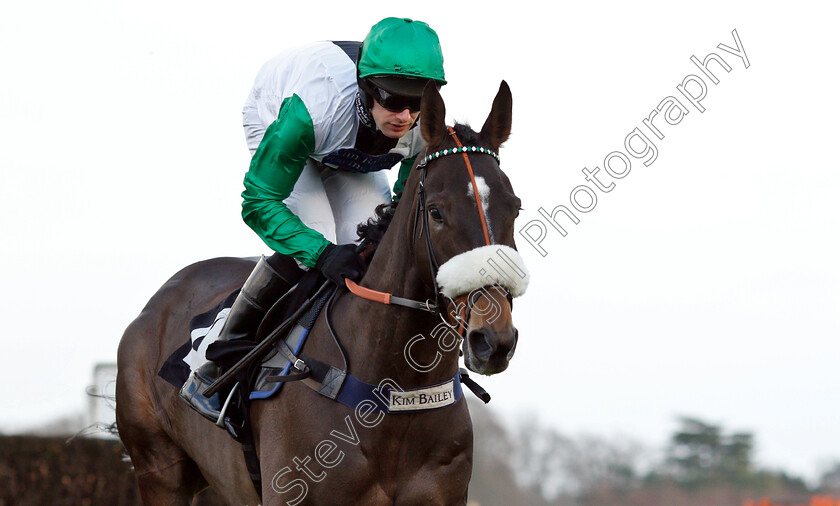 Vinndication-0004 
 VINNDICATION (David Bass) wins The Noel Novices Chase
Ascot 21 Dec 2018 - Pic Steven Cargill / Racingfotos.com