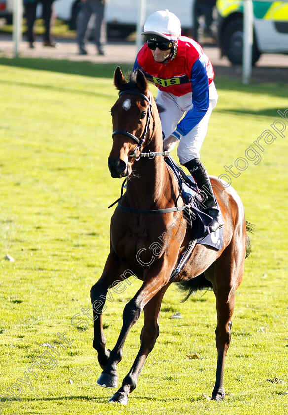 Mehdaayih-0001 
 MEHDAAYIH (Robert Havlin) winner of The British Stallion Studs EBF Fillies Novice Stakes Div2
Yarmouth 23 Oct 2018 - pic Steven Cargill / Racingfotos.com