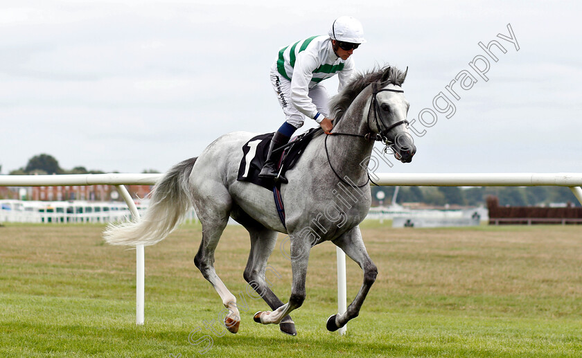 Algometer-0001 
 ALGOMETER (Jim Crowley)
Newbury 18 Aug 2018 - Pic Steven Cargill / Racingfotos.com