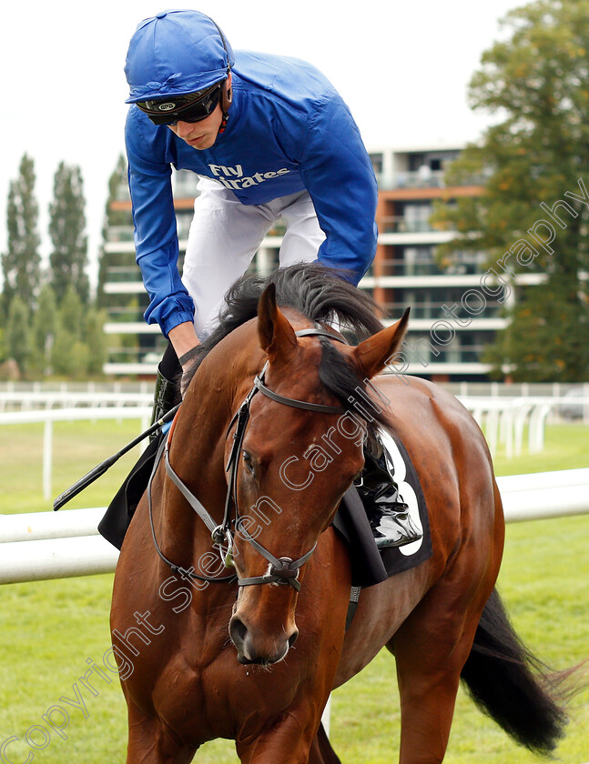 Good-Fortune-0001 
 GOOD FORTUNE (James Doyle)
Newbury 18 Aug 2018 - Pic Steven Cargill / Racingfotos.com