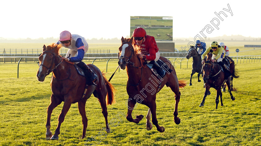 Feigning-Madness-0002 
 FEIGNING MADNESS (left, Hector Crouch) beats HARPER'S FERRY (centre) in The British Stallion Studs EBF Future Stayers Novice Stakes
Newmarket 25 Oct 2023 - Pic Steven Cargill / Racingfotos.com