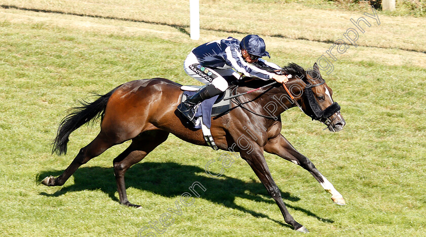 Starboy-0002 
 STARBOY (Jason Watson) wins The mintbet.com Best Odds Guaranteed Singles & Multiples Handicap
Brighton 3 Jul 2018 - Pic Steven Cargill / Racingfotos.com