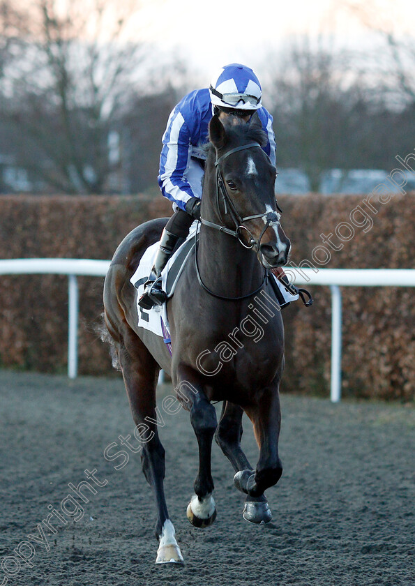 Fox-Happy-0001 
 FOX HAPPY (Sean Levey)
Kempton 12 Dec 2018 - Pic Steven Cargill / Racingfotos.com