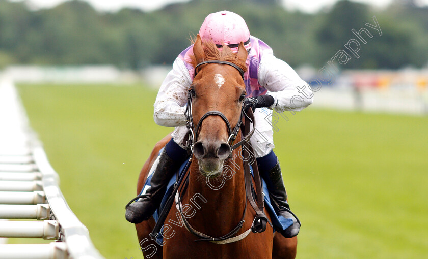 Arctic-Fox-0006 
 ARCTIC FOX (Carol Bartley) wins The Queen Mother's Cup
York 15 Jun 2019 - Pic Steven Cargill / Racingfotos.com