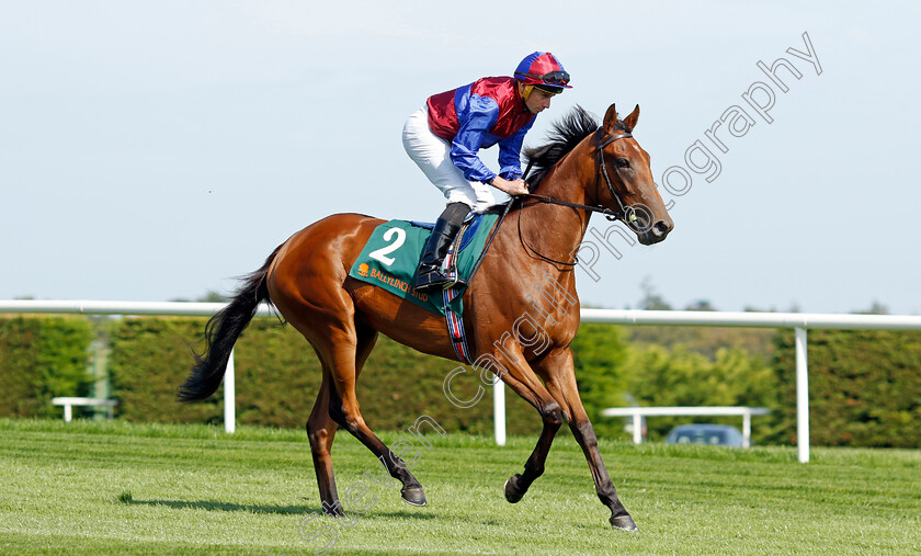 Content-0002 
 CONTENT (Ryan Moore)
Leopardstown 9 Sep 2023 - Pic Steven Cargill / Racingfotos.com