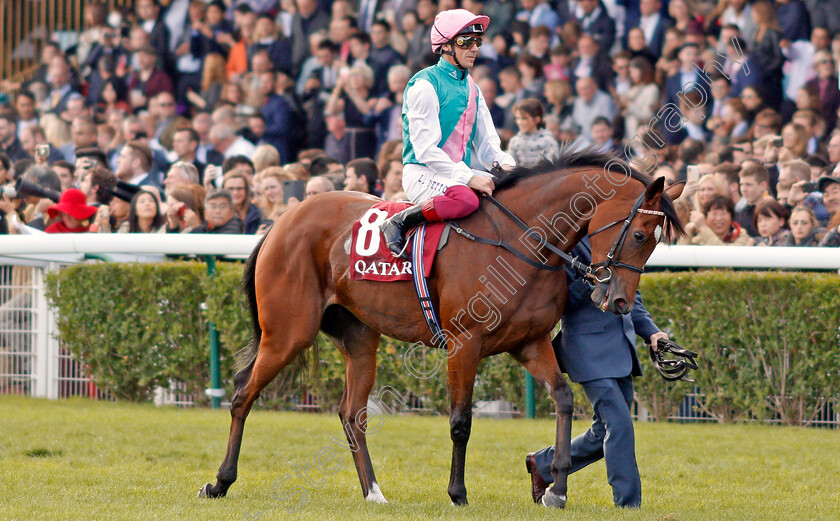 Enable-0002 
 ENABLE (Frankie Dettori) before the Qatar Prix de l'Arc de Triomphe
Longchamp 6 Oct 2019 - Pic Steven Cargill / Racingfotos.com