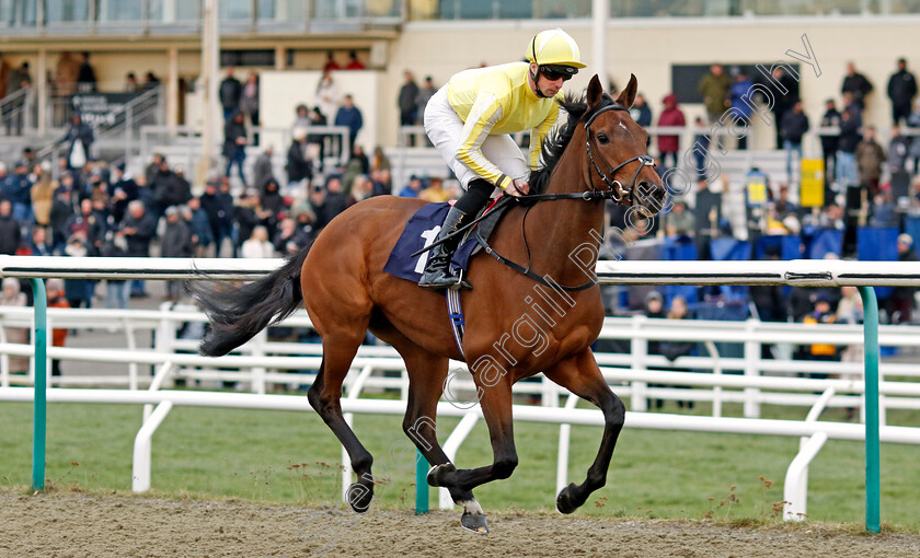 Oh-So-Grand-0010 
 OH SO GRAND (Jack Mitchell) winner of The Betmgm Winter Oaks Fillies Handicap
Lingfield 20 Jan 2024 - Pic Steven Cargill / Racingfotos.com