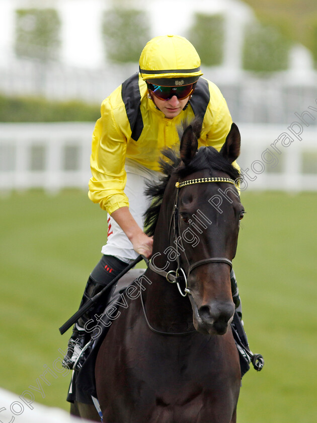 Maljoom-0001 
 MALJOOM (Tom Marquand)
Ascot 1 May 2024 - Pic Steven Cargill / Racingfotos.com