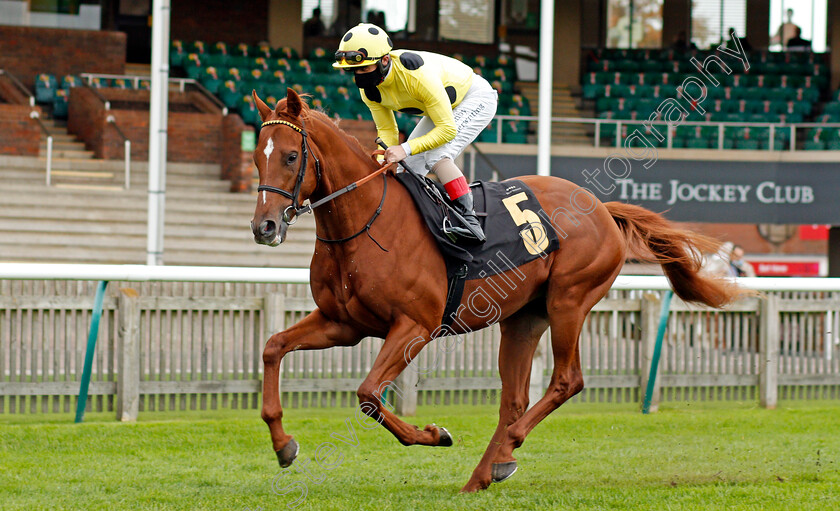 Dubawi-Sands-0001 
 DUBAWI SANDS (Amdrea Atzeni)
Newmarket 30 Oct 2020 - Pic Steven Cargill / Racingfotos.com