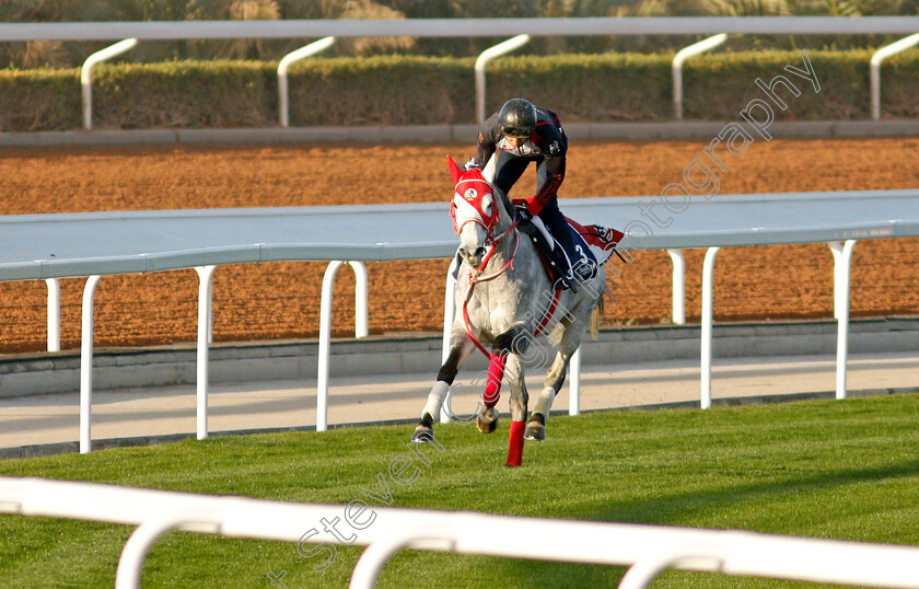 Entscheiden-0003 
 ENTSCHEIDEN training for The Turf Sprint
King Abdulaziz Racetrack, Riyadh, Saudi Arabia 22 Feb 2022 - Pic Steven Cargill / Racingfotos.com