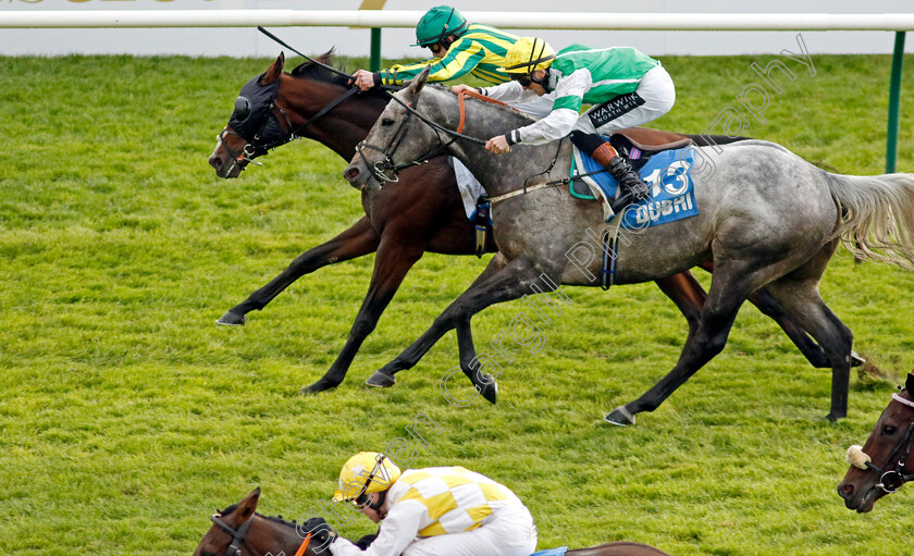 Manxman-0001 
 MANXMAN (farside, Sean Dylan Bowen) second past the post with AQWAAM (13) and first past the post ALPHONSE LE GRANDE (bottom, Jamie Powell) in The Club Godolphin Cesarewitch
Newmarket 12 Oct 2024 - Pic Steven Cargill / Racingfotos.com