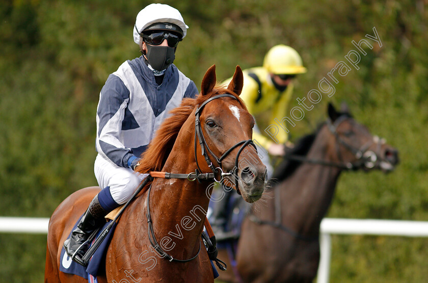 Law-Of-One-0002 
 LAW OF ONE (Jim Crowley)
Lingfield 2 Sep 2020 - Pic Steven Cargill / Racingfotos.com