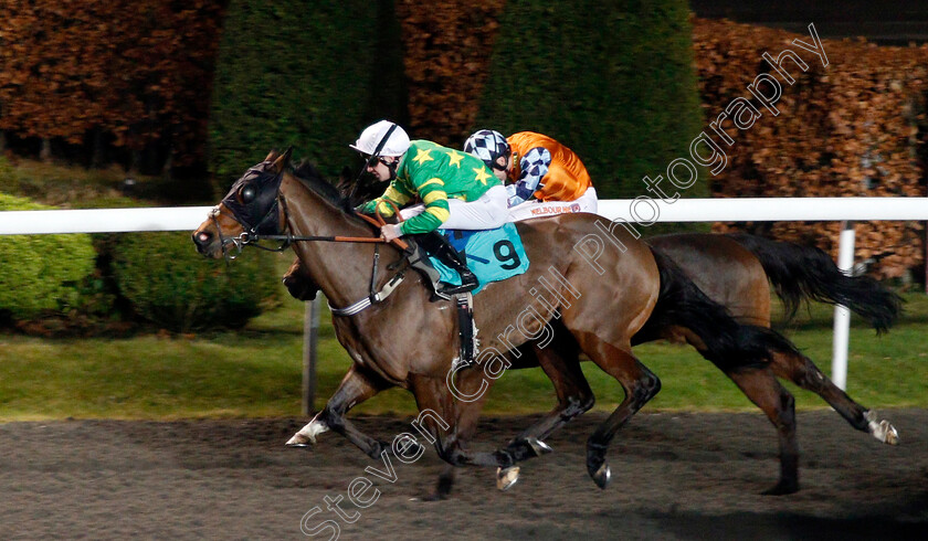 Bridge-Builder-0003 
 BRIDGE BUILDER (Charles Bishop) wins The 32Red.com Handicap Kempton 10 Jan 2018 - Pic Steven Cargill / Racingfotos.com