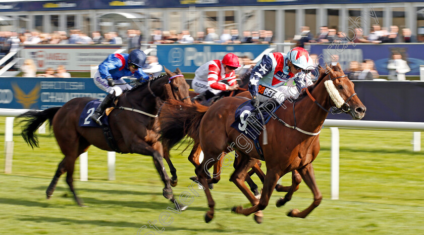 Desert-Skyline-0004 
 DESERT SKYLINE (Silvestre De Sousa) wins The Doncaster Cup Doncaster 15 Sep 2017 - Pic Steven Cargill / Racingfotos.com