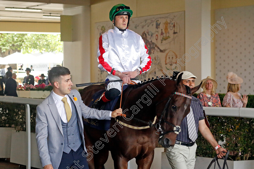 Motawahij-0001 
 MOTAWAHIJ (Clifford Lee)
Royal Ascot 22 Jun 2024 - Pic Steven Cargill / Racingfotos.com