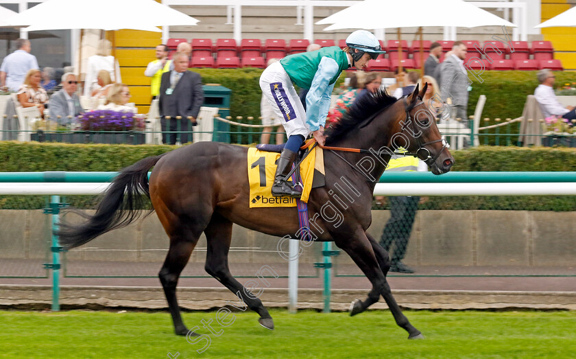 Kind-Of-Blue-0002 
 KIND OF BLUE (Daniel Muscutt)
Haydock 7 Sep 2024 - Pic Steven Cargill / Racingfotos.com