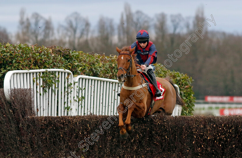 Colonel-Harry-0002 
 COLONEL HARRY (Gavin Sheehan)
Sandown 3 Feb 2024 - Pic Steven Cargill / Racingfotos.com