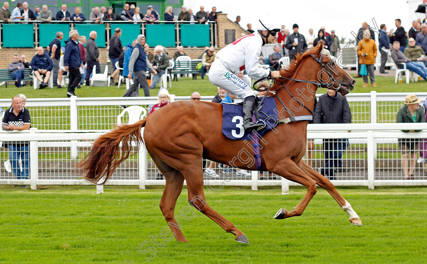 Gamblers-Kitty-0001 
 GAMBLERS KITTY (Stefano Cherchi)
Yarmouth 19 Sep 2023 - Pic Steven Cargill / Racingfotos.com