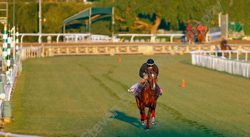 Les-Pavots-0003 
 LES PAVOTS training for The Breeders' Cup Juvenile Fillies Turf
Santa Anita 2 Nov 2023 - Pic Steven Cargill / Racingfotos.com