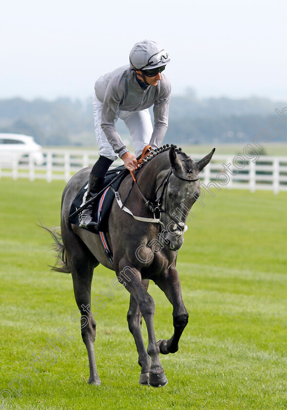 Fallen-Angel-0012 
 FALLEN ANGEL (Daniel Tudhope) winner of The Moyglare Stud Stakes
The Curragh 10 Sep 2023 - Pic Steven Cargill / Racingfotos.com