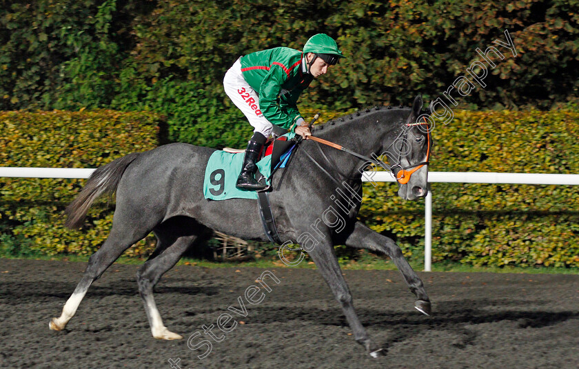 Grey-Spirit-0001 
 GREY SPIRIT (Luke Morris) Kempton 18 Oct 2017 - Pic Steven Cargill / Racingfotos.com