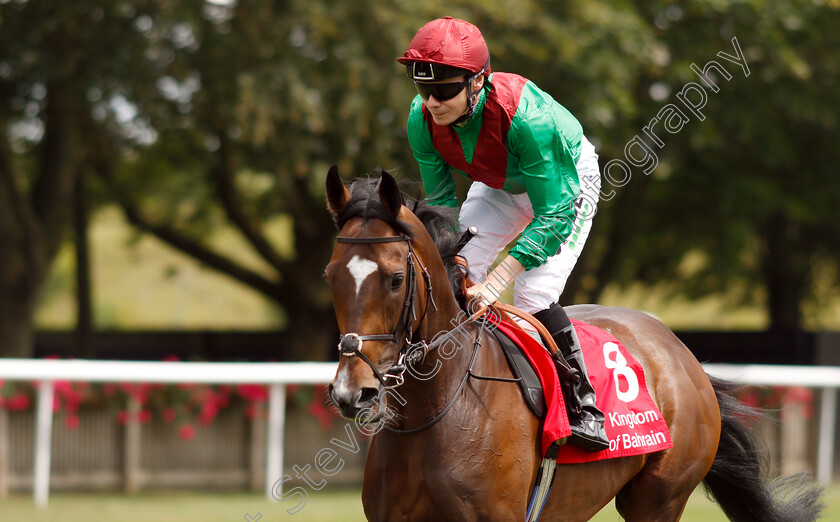 Spanish-Mission-0002 
 SPANISH MISSION (Jamie Spencer) before The Bahrain Trophy
Newmarket 11 Jul 2019 - Pic Steven Cargill / Racingfotos.com