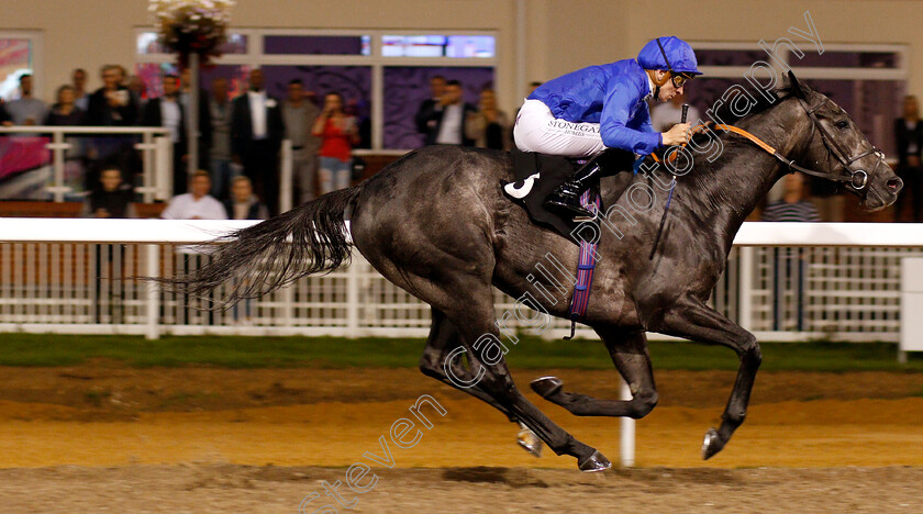 Welsh-Lord-0009 
 WELSH LORD (Hector Crouch) wins The Natta Building Company Ltd Novice Stakes
Chelmsford 6 Sep 2018 - Pic Steven Cargill / Racingfotos.com