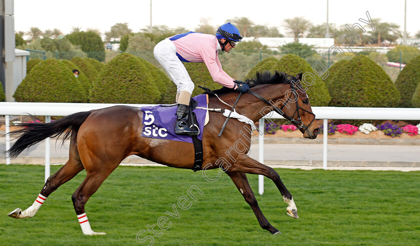 Raaed-0001 
 RAAED (Glen Boss) wins The STC International Jockeys Challenge Round 2
King Abdulaziz RaceCourse, Riyadh, Saudi Arabia 25 Feb 2022 - Pic Steven Cargill / Racingfotos.com