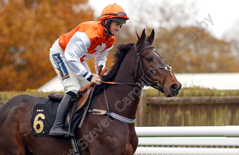 Lark-In-The-Dark-0001 
 LARK IN THE DARK (Ben Poste)
Warwick 22 Nov 2023 - Pic Steven Cargill / Racingfotos.com