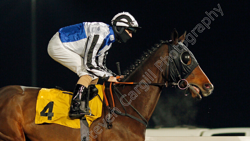 Sextant-0001 
 SEXTANT (Richard Kingscote)
Kempton 2 Dec 2020 - Pic Steven Cargill / Racingfotos.com