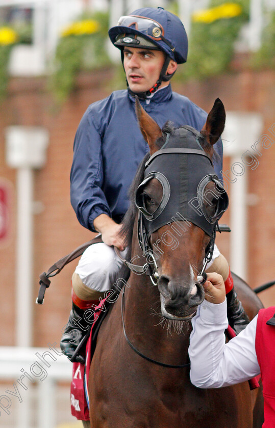 Harpo-Marx-0001 
 HARPO MARX (Andrea Atzeni)
Goodwood 30 Jul 2019 - Pic Steven Cargill / Racingfotos.com