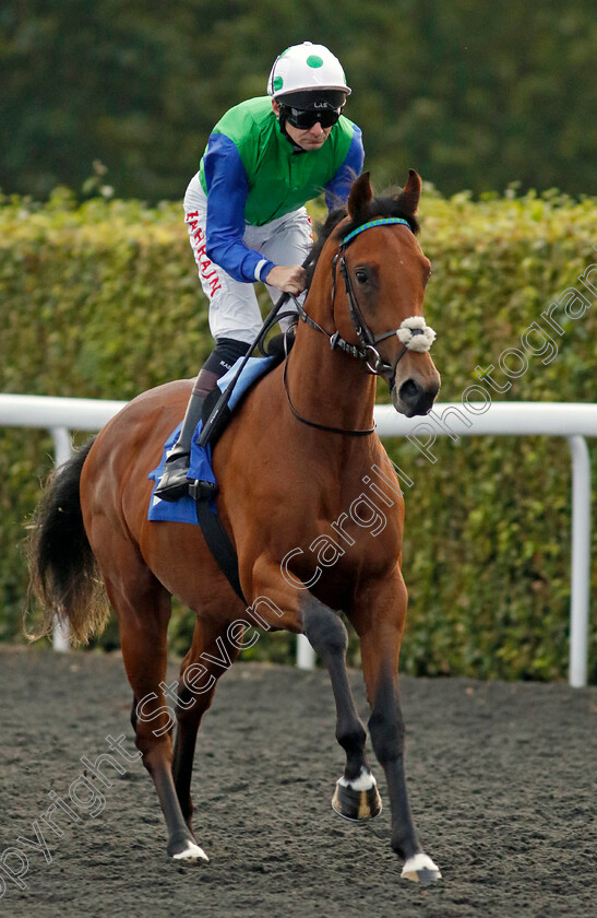 Battle-Of-Omdurman-0001 
 BATTLE OF OMDURMAN (Robert Havlin)
Kempton 8 Sep 2023 - Pic Steven Cargill / Racingfotos.com