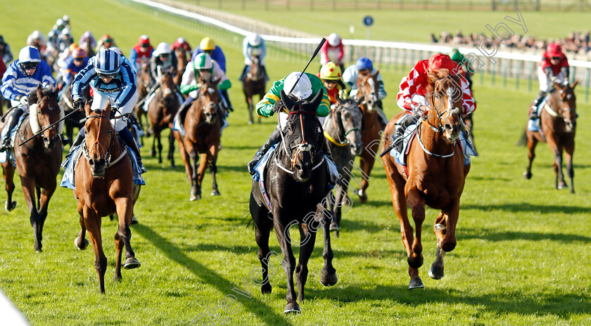 The-Shunter-0001 
 THE SHUNTER (James Doyle) beats PIED PIPER (right) and TASHKHAN (left) in The Club Godolphin Cesarewitch Handicap
Newmarket 14 Oct 2023 - Pic Steven Cargill / Racingfotos.com