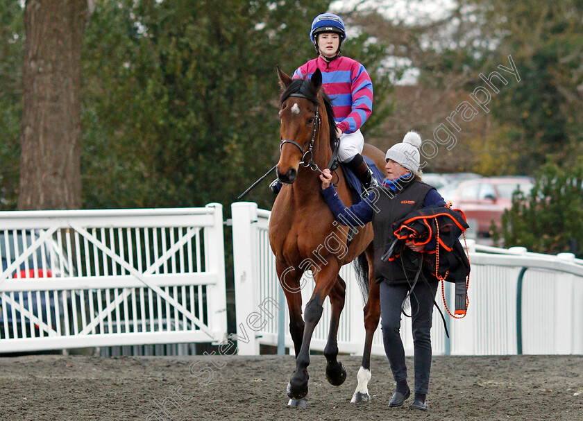 Tynecastle-Park-0002 
 TYNECASTLE PARK (Molly Presland)
Lingfield 1 Dec 2021 - Pic Steven Cargill / Racingfotos.com