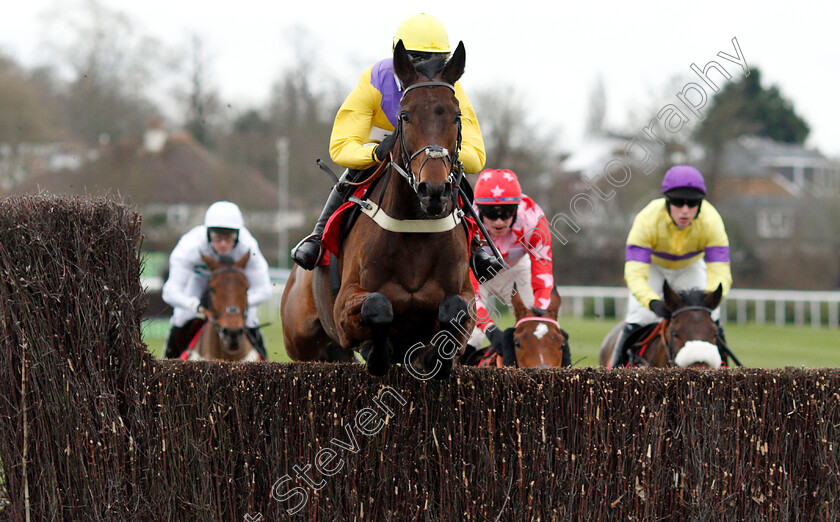 Mercian-Prince-0003 
 MERCIAN PRINCE (Jack Quinlan) wins The Unibet Download The App Handicap Chase
Kempton 12 Jan 2019 - Pic Steven Cargill / Racingfotos.com