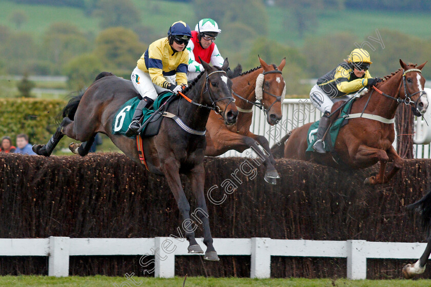 Excitable-Island-0002 
 EXCITABLE ISLAND (Gina Andrews) wins The Cheltenham Club Open Hunters Chase Cheltenham 4 May 2018 - Pic Steven Cargill / Racingfotos.com