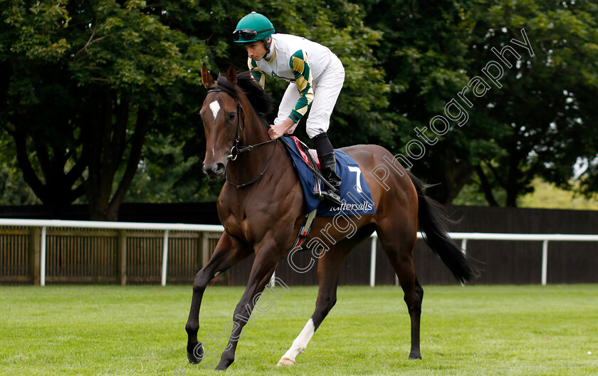 Porta-Fortuna-0010 
 PORTA FORTUNA (Ryan Moore) winner of The Tattersalls Falmouth Stakes
Newmarket 12 Jul 2024 - pic Steven Cargill / Racingfotos.com