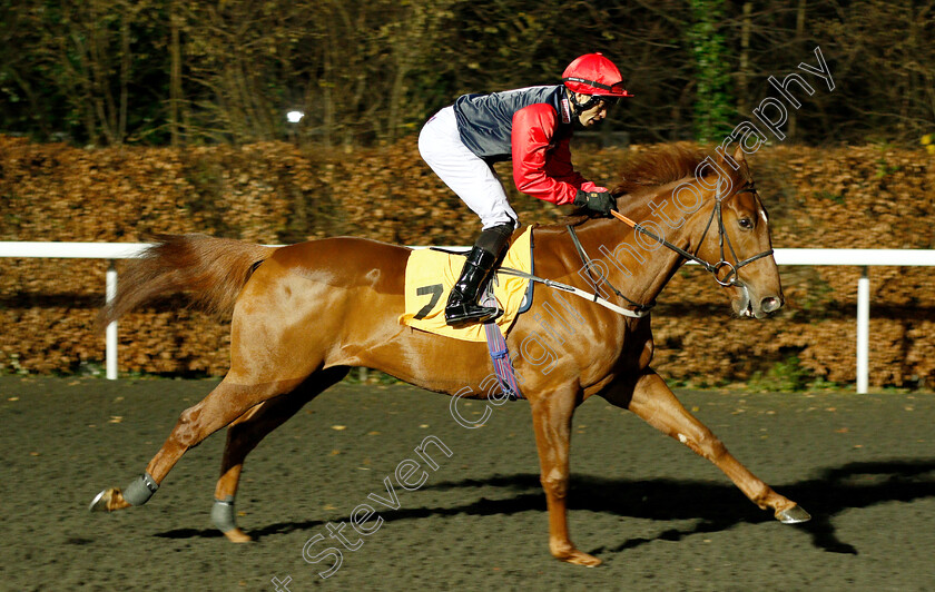 Harry-The-Norseman-0001 
 HARRY THE NORSEMAN (Sean Levey)
Kempton 12 Dec 2018 - Pic Steven Cargill / Racingfotos.com