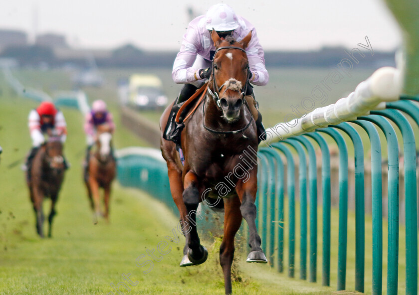 Anzac-Day-0001 
 ANZAC DAY (James Doyle) wins The Visit racingtv.com Maiden Stakes
Newmarket 25 Oct 2023 - Pic Steven Cargill / Racingfotos.com